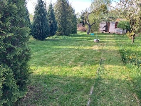 Działka rod Pleszew, ul. Wierzbowa. Zdjęcie 4