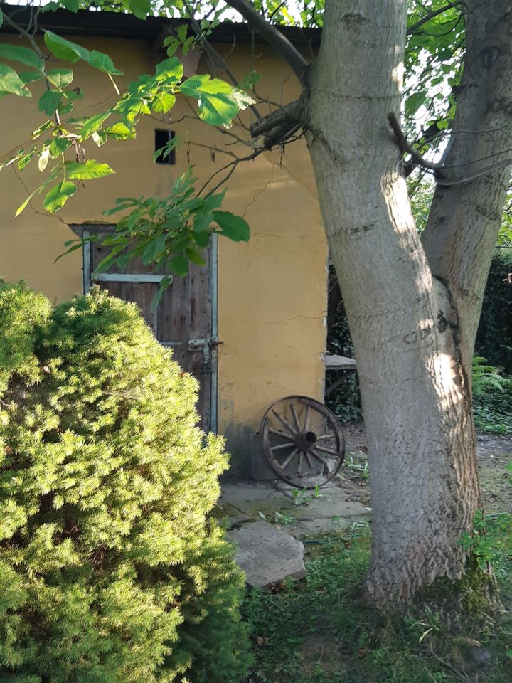 Działka rod Czeladź Kolonia Rożka, ul. Węglowa. Zdjęcie 3