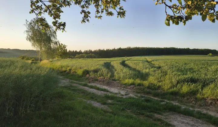 Działka rolna Batycze