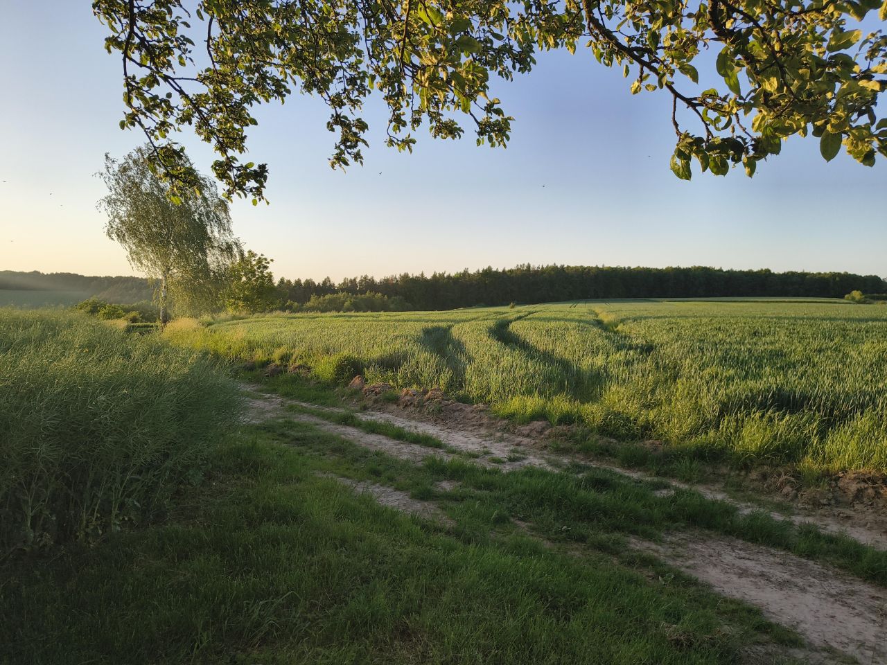 Działka rolna Batycze. Zdjęcie 1