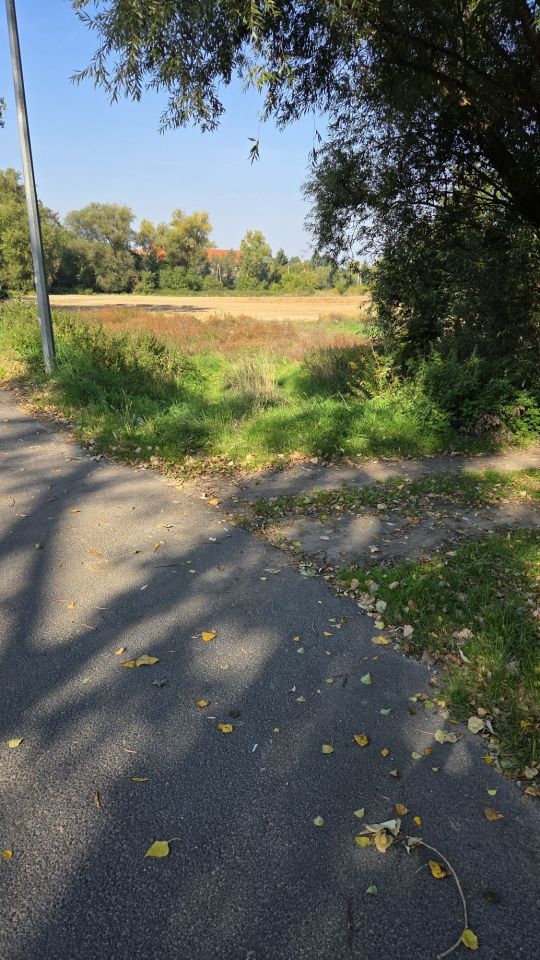 Działka rekreacyjna Rakowice Wielkie. Zdjęcie 3