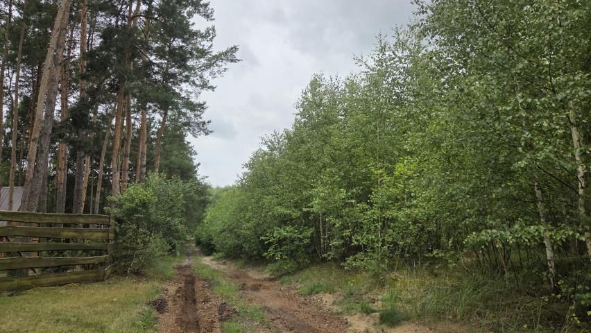 Działka rekreacyjna Królewo. Zdjęcie 6