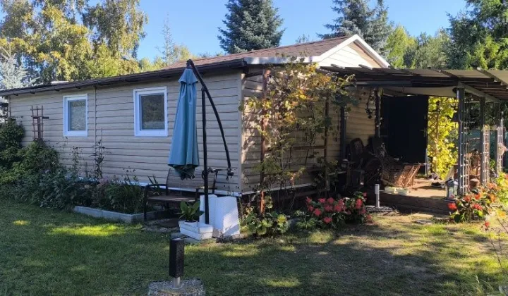 Działka Dąb Polski