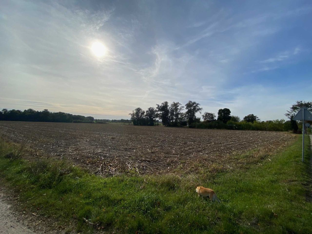 Działka budowlana Krajkowo. Zdjęcie 5