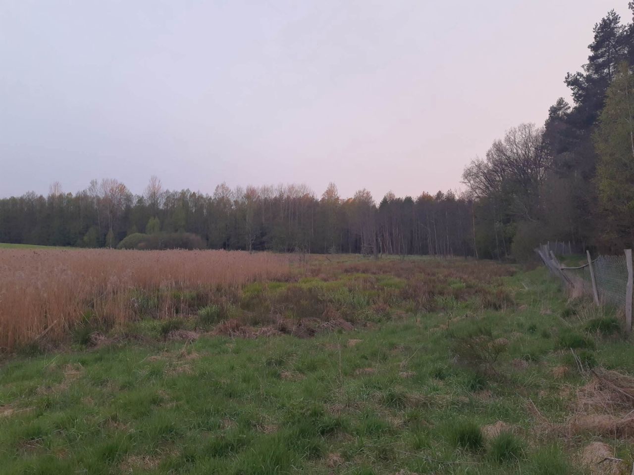 Działka budowlana Łukta, Łukta. Zdjęcie 11