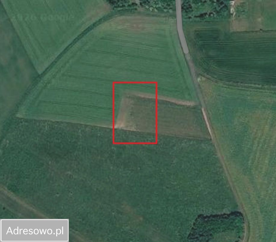 Działka budowlana Myślinów. Zdjęcie 3