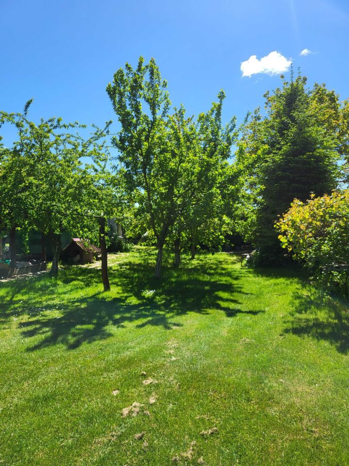 Działka budowlana Turowola-Kolonia. Zdjęcie 5