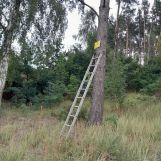 Działka leśna Sępólno Krajeńskie, ul. Niechorska. Zdjęcie 4