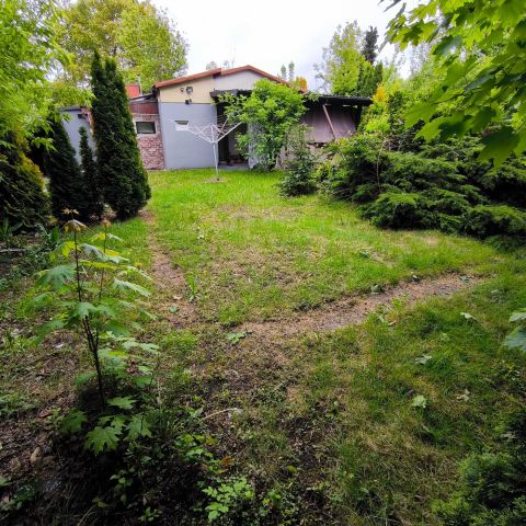 Działka rod Katowice Brynów. Zdjęcie 1