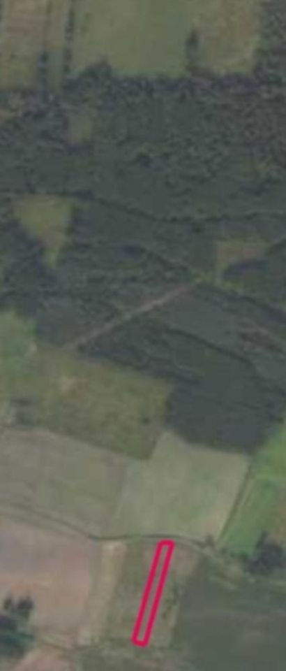 Działka rolna Kuźniczysko, Brak. Zdjęcie 3