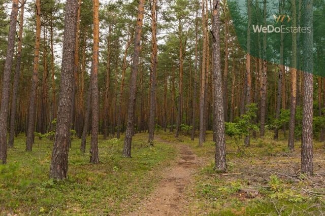 Mieszkanie 2-pokojowe Ostrówek. Zdjęcie 30