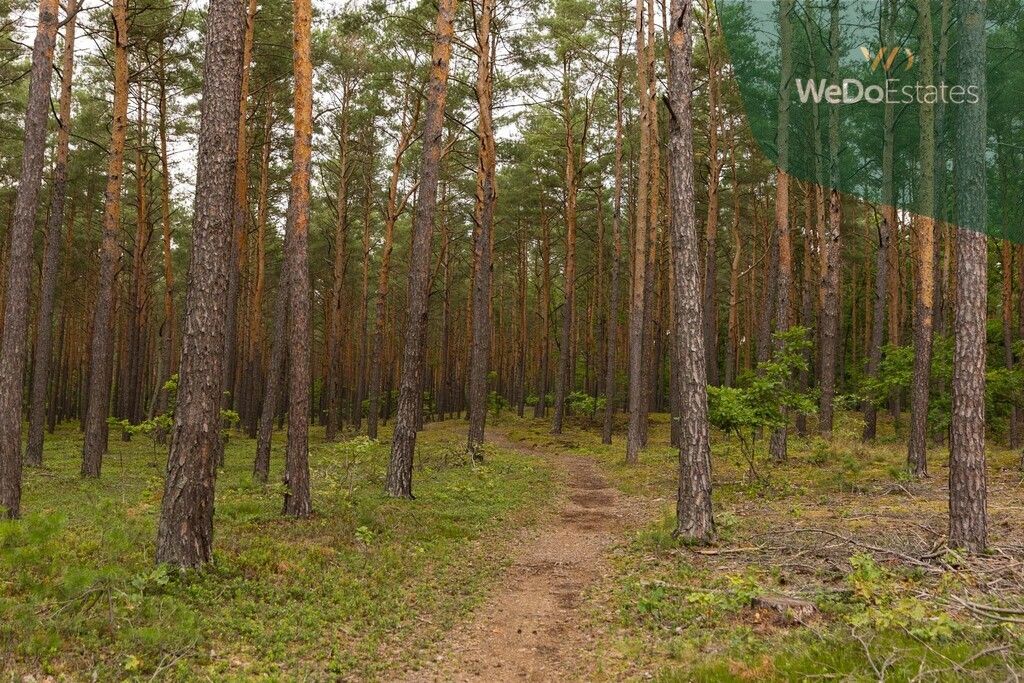 Mieszkanie 2-pokojowe Ostrówek. Zdjęcie 30