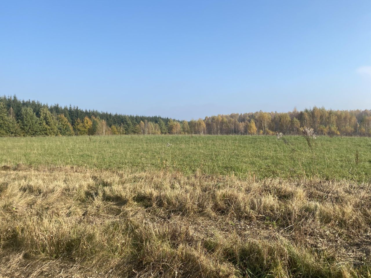 Działka budowlana Gady. Zdjęcie 2