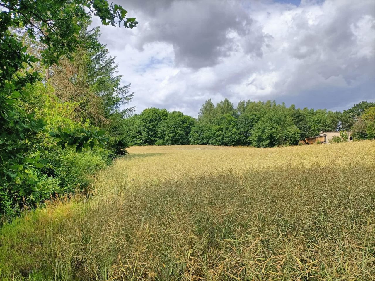 Działka budowlana Cieszeniewo. Zdjęcie 11
