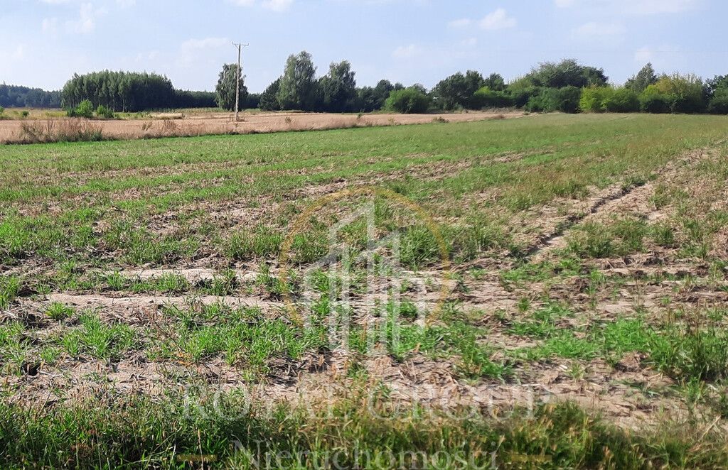 Działka rolna Rudno. Zdjęcie 7