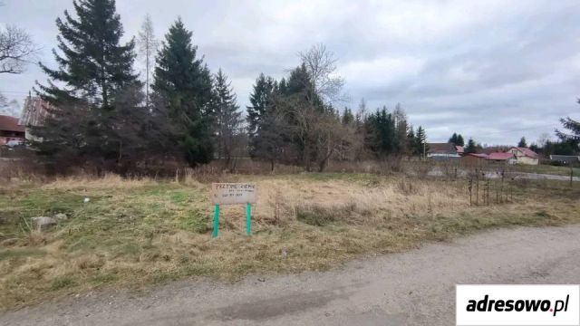 Działka siedliskowa Szymbory. Zdjęcie 1