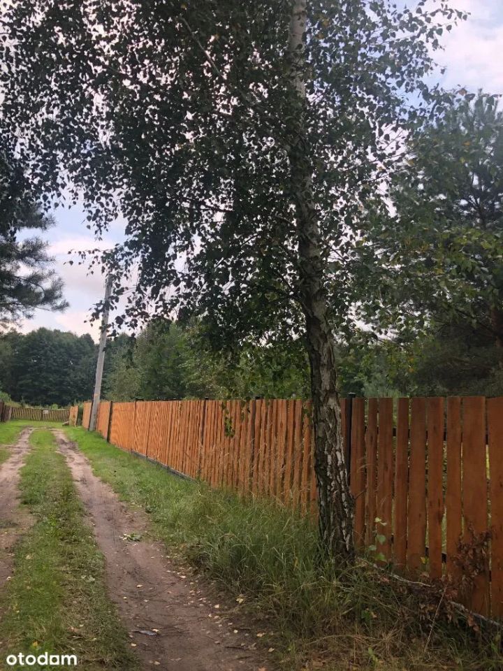 Działka rekreacyjna Nowe Borsuki. Zdjęcie 5