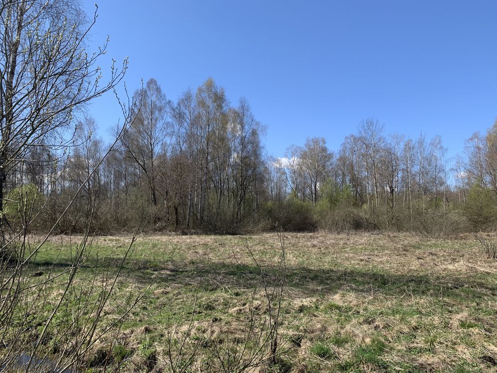 Działka rolna Pawełki. Zdjęcie 7