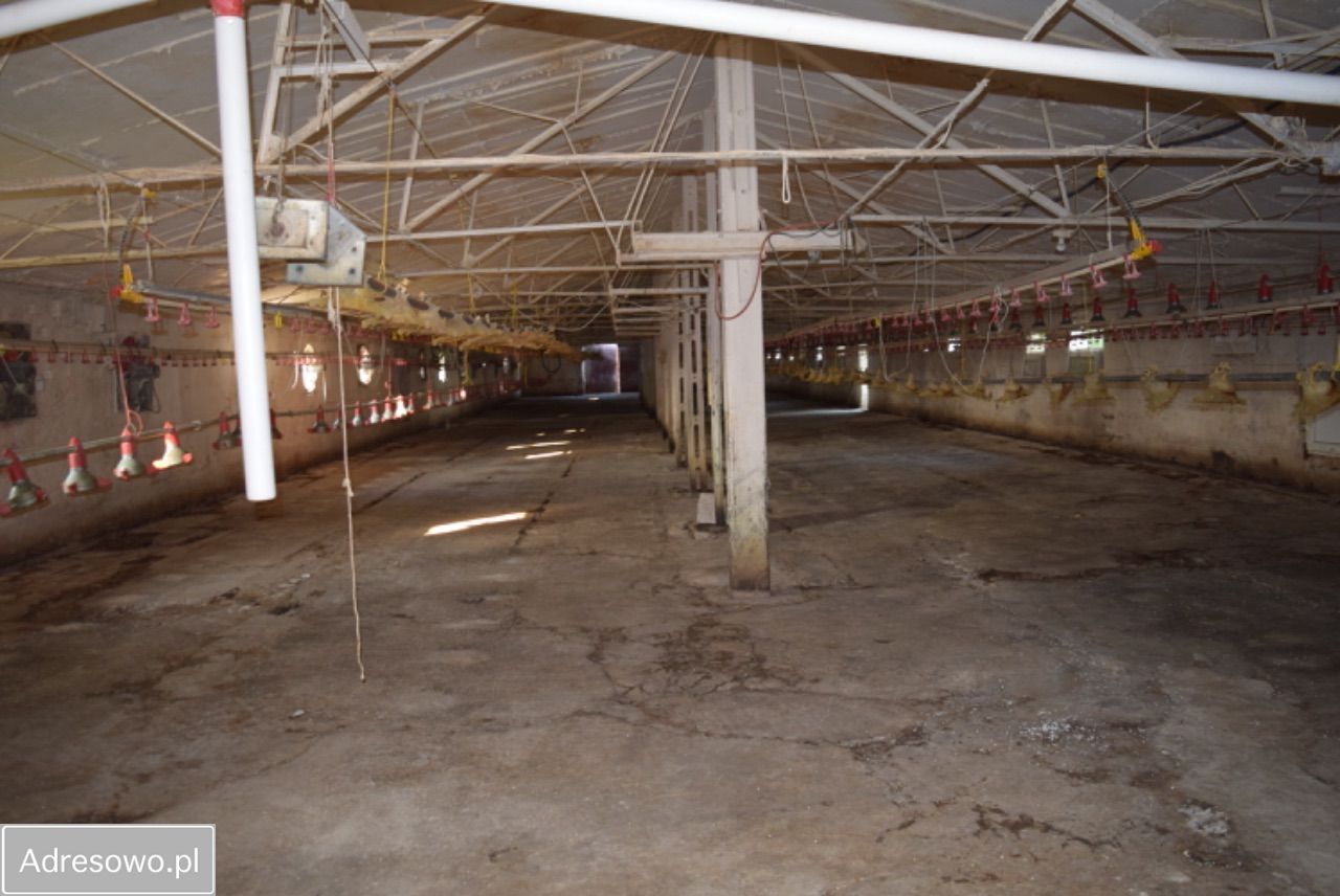 dom wolnostojący, 6 pokoi Krusza Duchowna. Zdjęcie 7