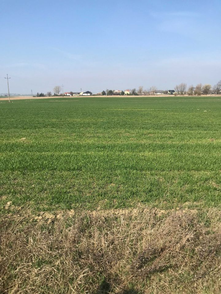 Działka budowlana Kończewice. Zdjęcie 4