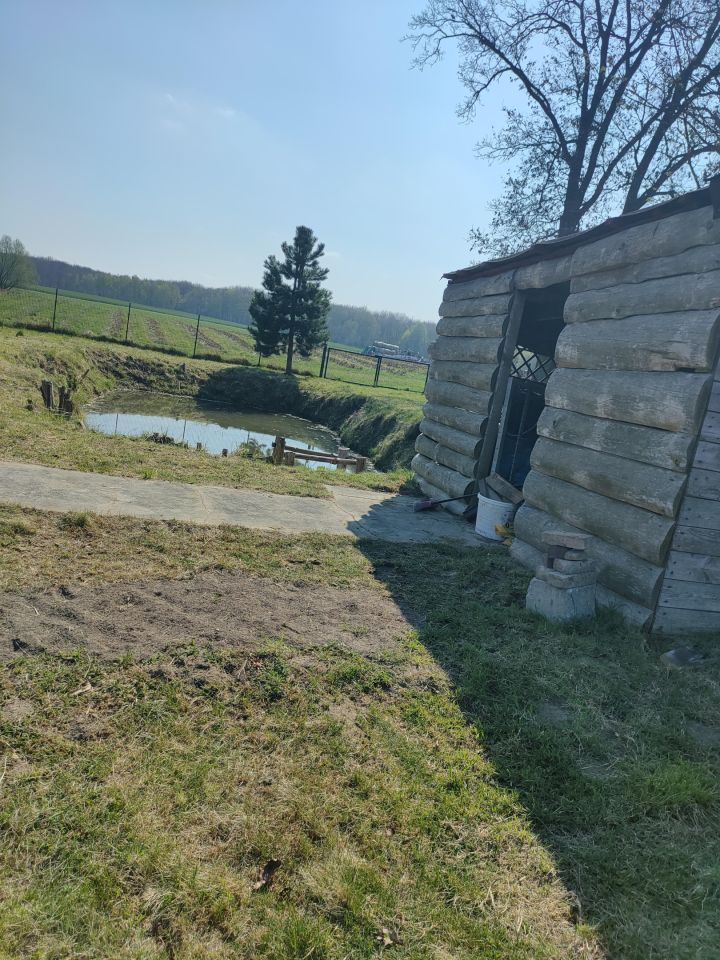 Działka rolna Trzebórz. Zdjęcie 11