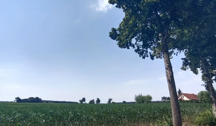 Działka budowlana Ławki