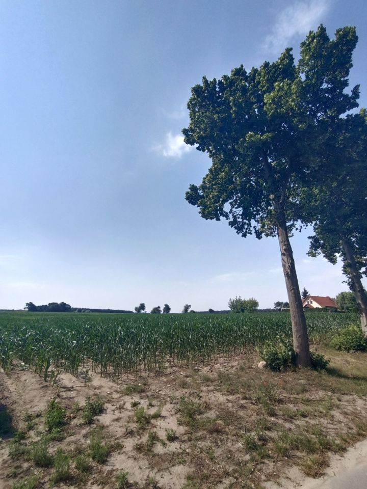 Działka budowlana Ławki