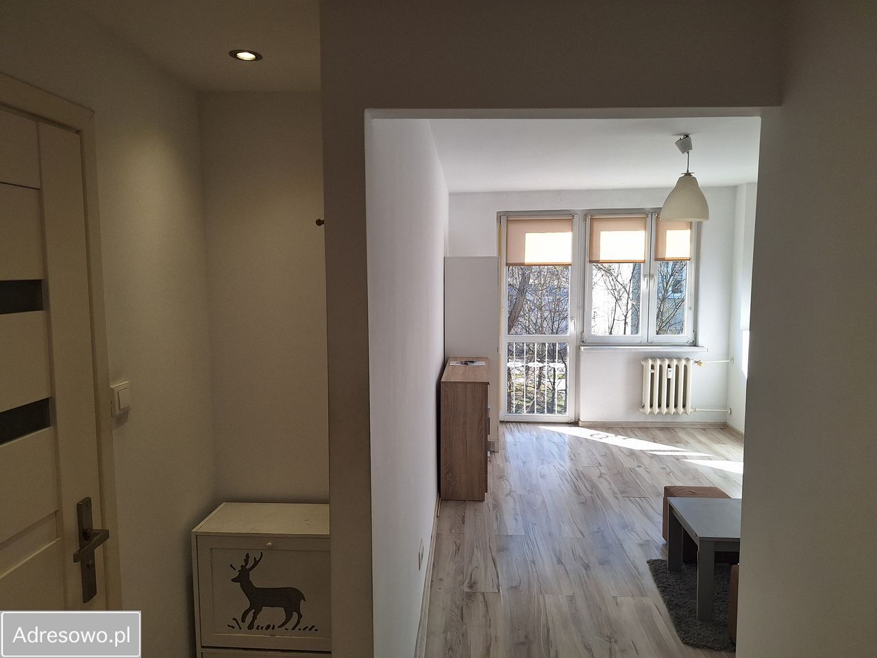 Mieszkanie 1-pokojowe Opole Śródmieście, ul. Adama Asnyka. Zdjęcie 7