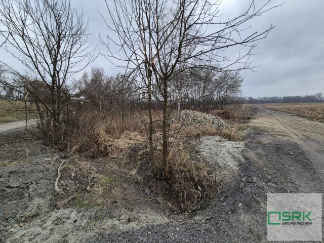 Działka budowlana Kaniów. Zdjęcie 1