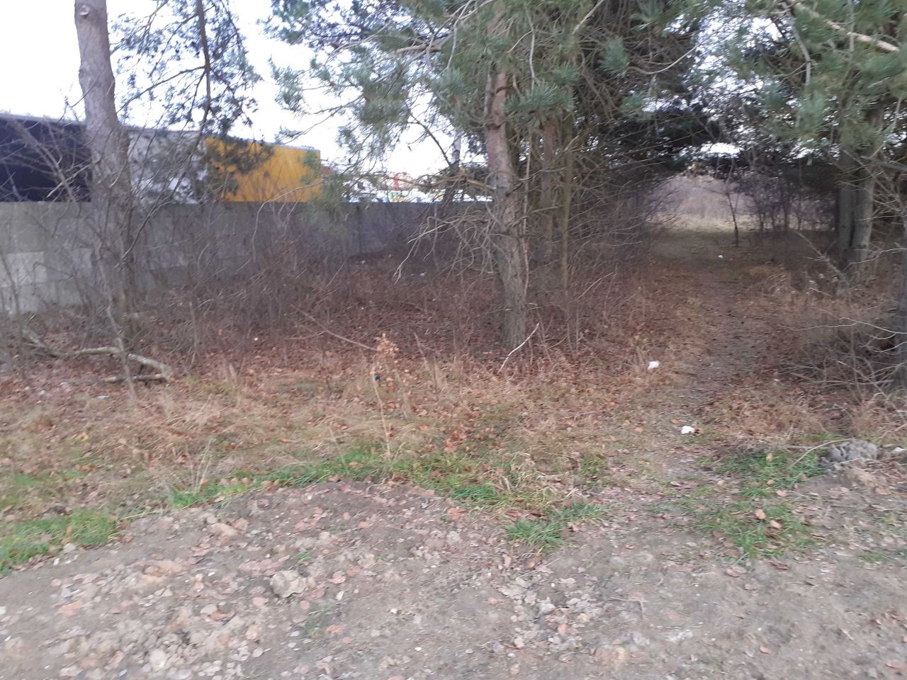 Działka rolna Zgierz. Zdjęcie 7