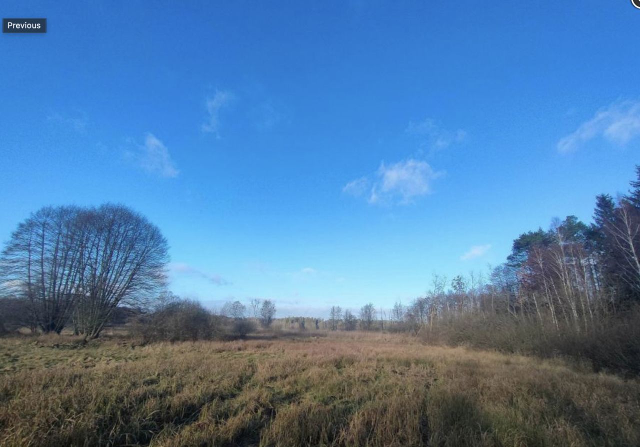 Działka rolna Dalno. Zdjęcie 10