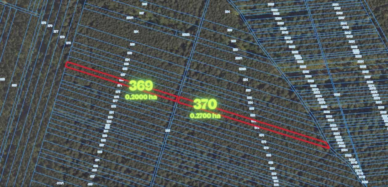 Działka leśna Witów. Zdjęcie 2