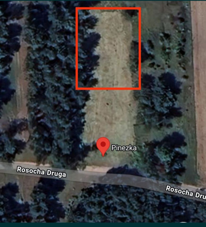 Działka siedliskowa Rosocha-Kolonia. Zdjęcie 5