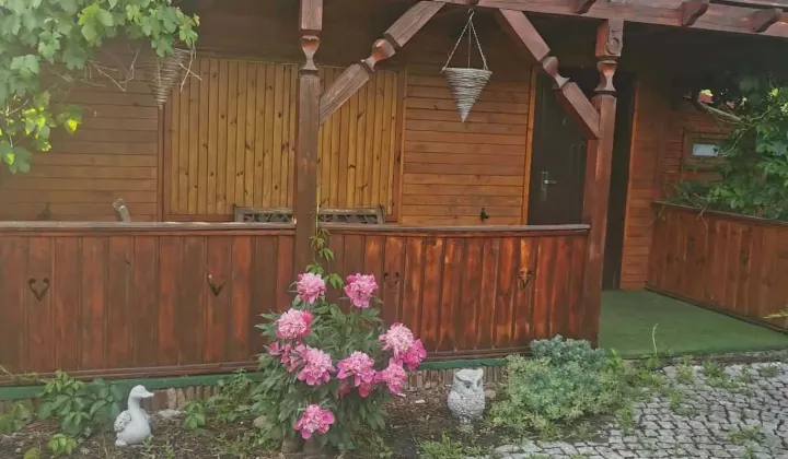 Działka rod Wronki, ul. Działkowa