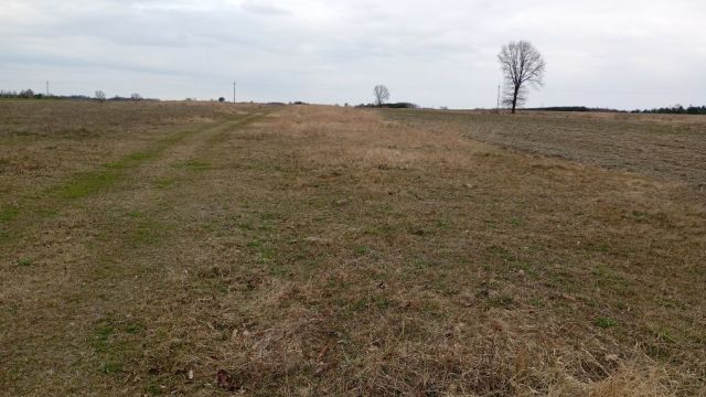 Działka rolna Tomaszów. Zdjęcie 1