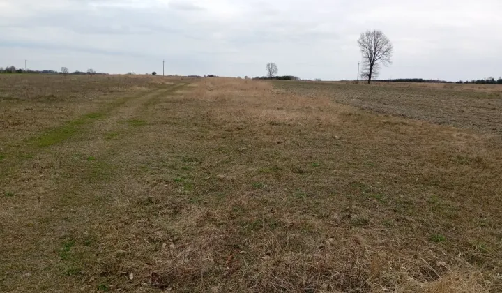 Działka rolna Tomaszów