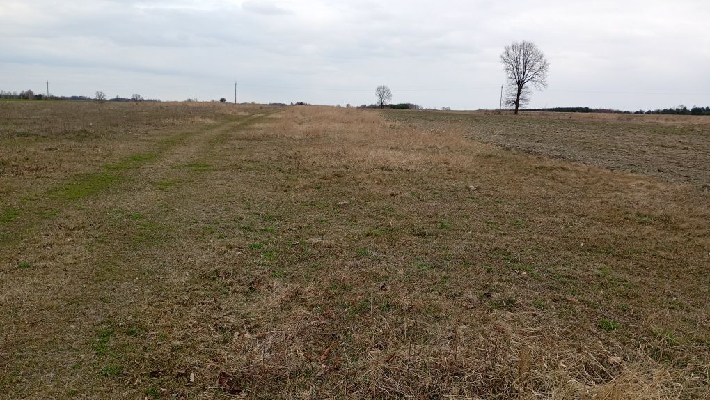 Działka rolna Tomaszów. Zdjęcie 1