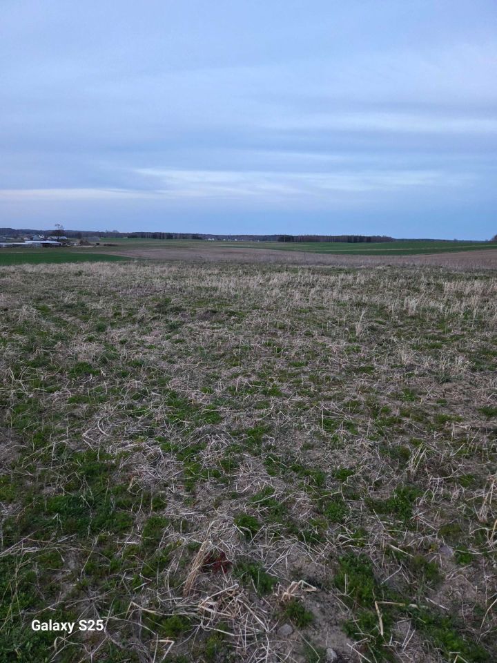 Działka rolno-budowlana Lubichowo. Zdjęcie 2