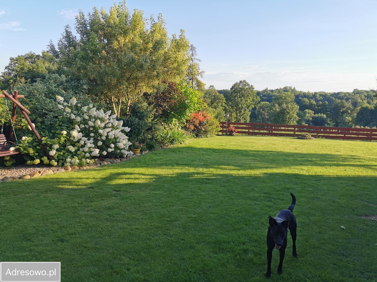 siedlisko, 3 pokoje Krzywe. Zdjęcie 9