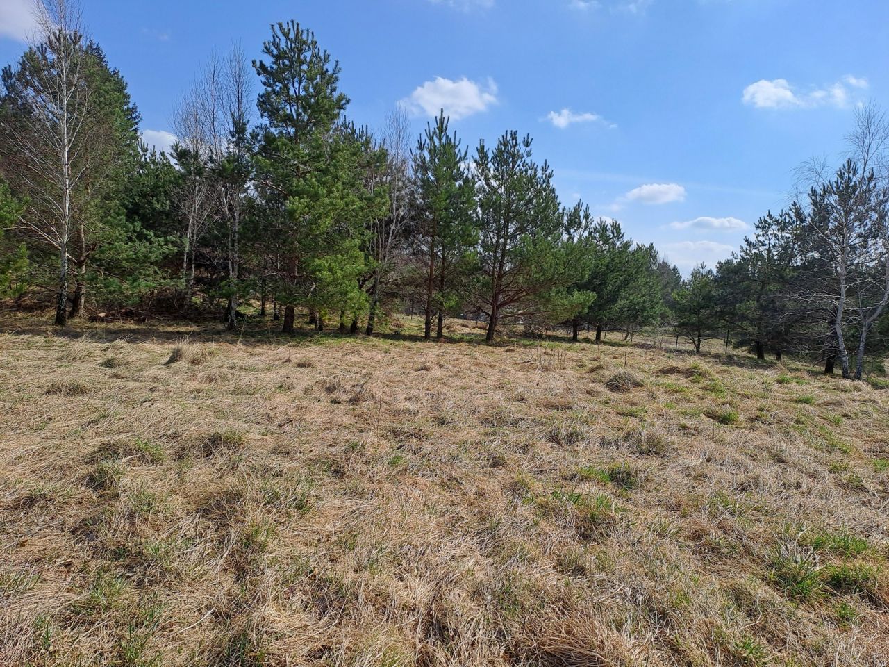 Działka rekreacyjna Dąbrówno, Wzgórze Letniskowe Dąbrowa. Zdjęcie 12