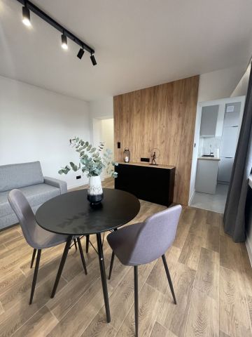 Mieszkanie 1-pokojowe Łódź Śródmieście, al. Tadeusza Kościuszki. Zdjęcie 1