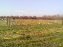 Działka rekreacyjna Niechorze. Zdjęcie 3