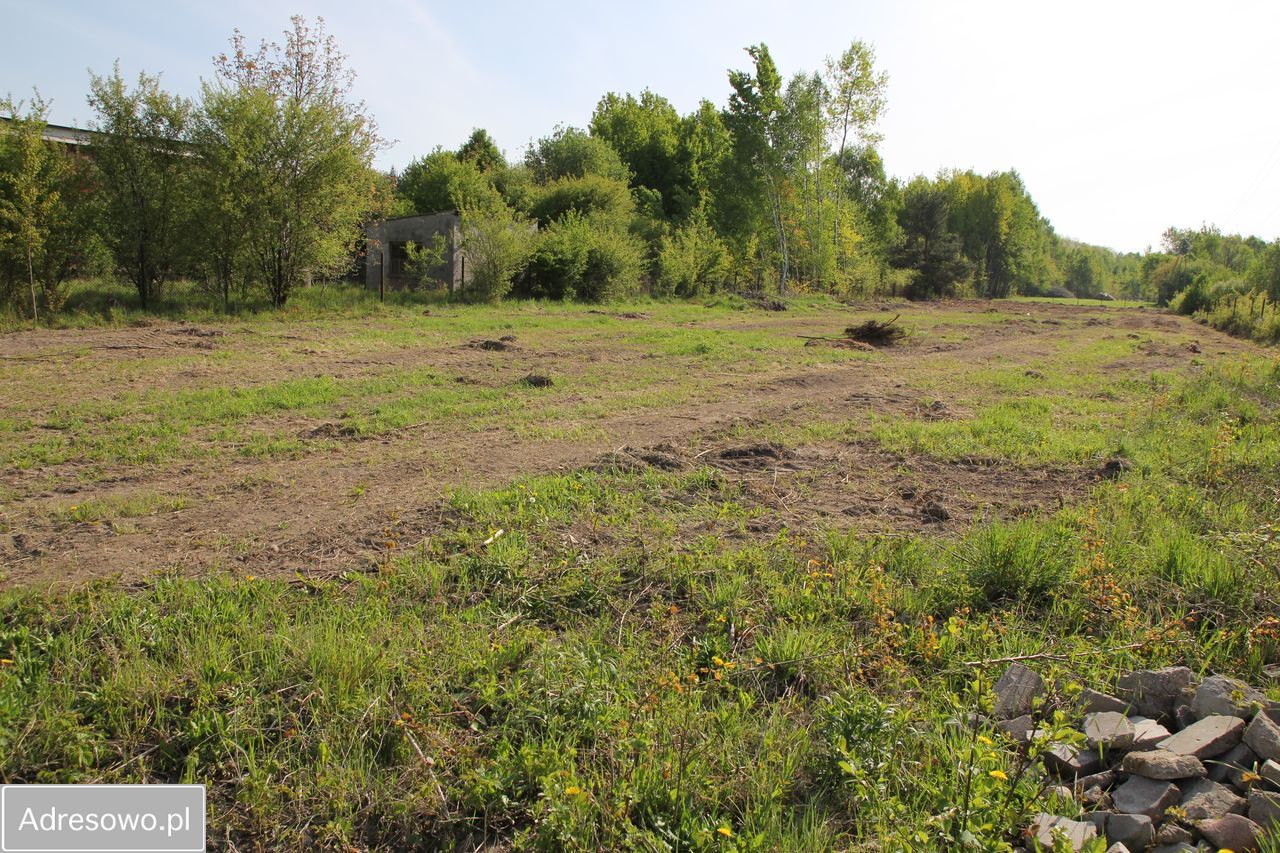Działka budowlana Bielicha. Zdjęcie 5