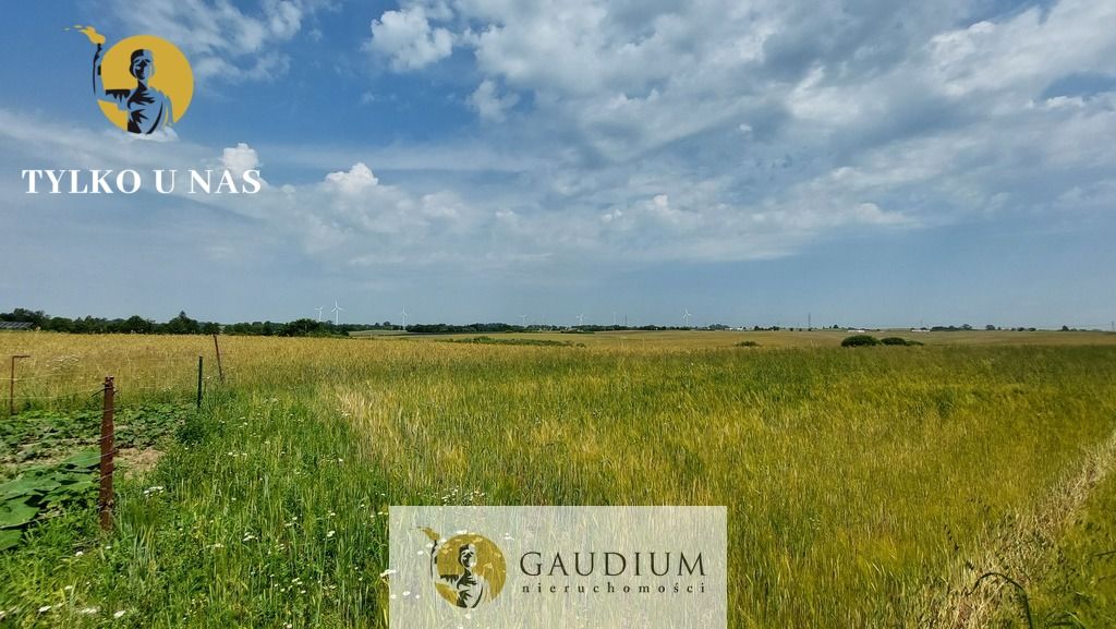 Działka inwestycyjna Sztum. Zdjęcie 4