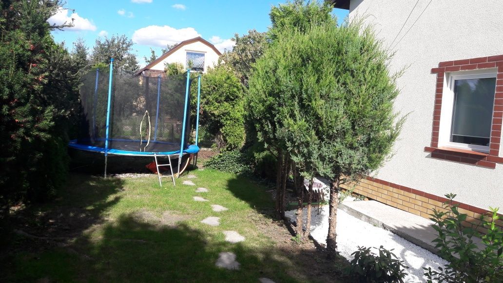 Działka rod Jagodowo osada leśna