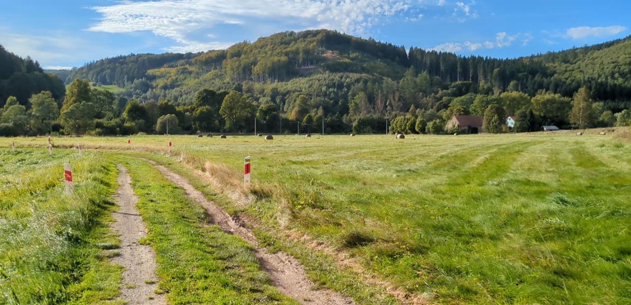 Działka rolna Błażkowa, Błażkowa. Zdjęcie 2