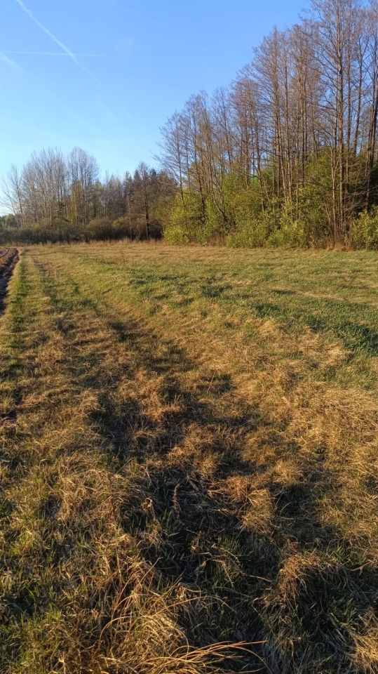 Działka rolna Bór. Zdjęcie 2
