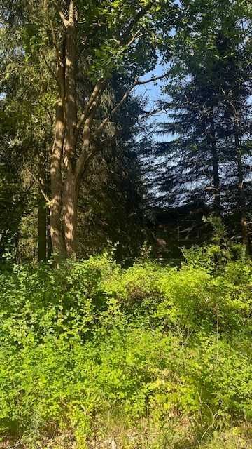 Działka rekreacyjna Młynarze. Zdjęcie 4