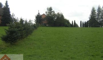 Działka budowlana Sosnowice