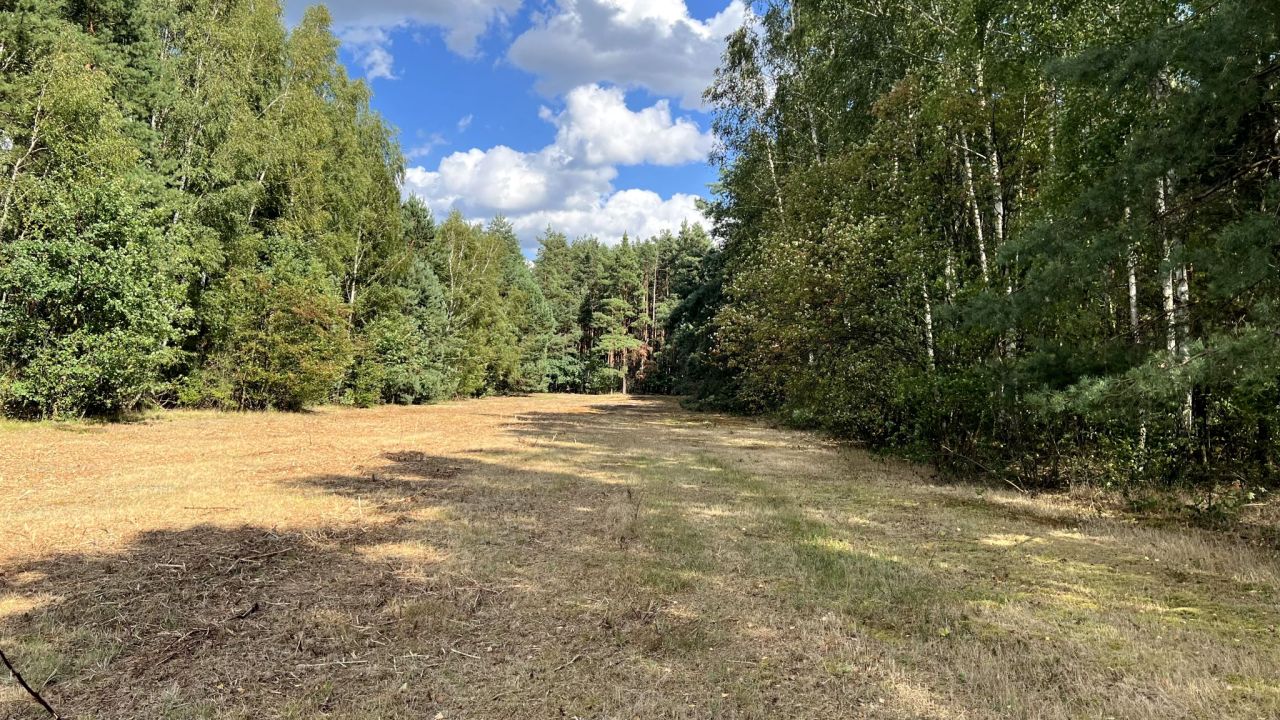 Działka rekreacyjna Mirowice, ul. Sarenki. Zdjęcie 10